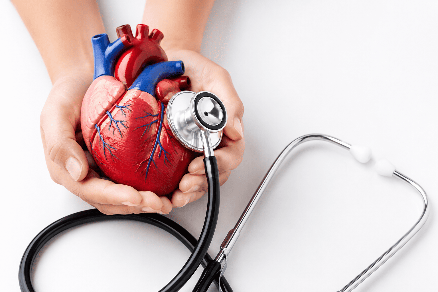 Cardiology